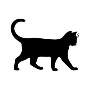 whiskered cat cut file svg