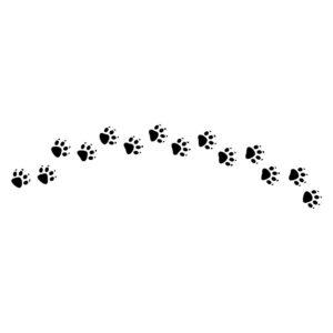 curved cat paw trail svg with decorative paw print border