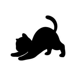 play bow cat svg with playful lowered pose and raised tail