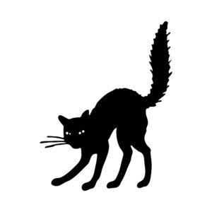 spooky black cat svg with arched back halloween silhouette